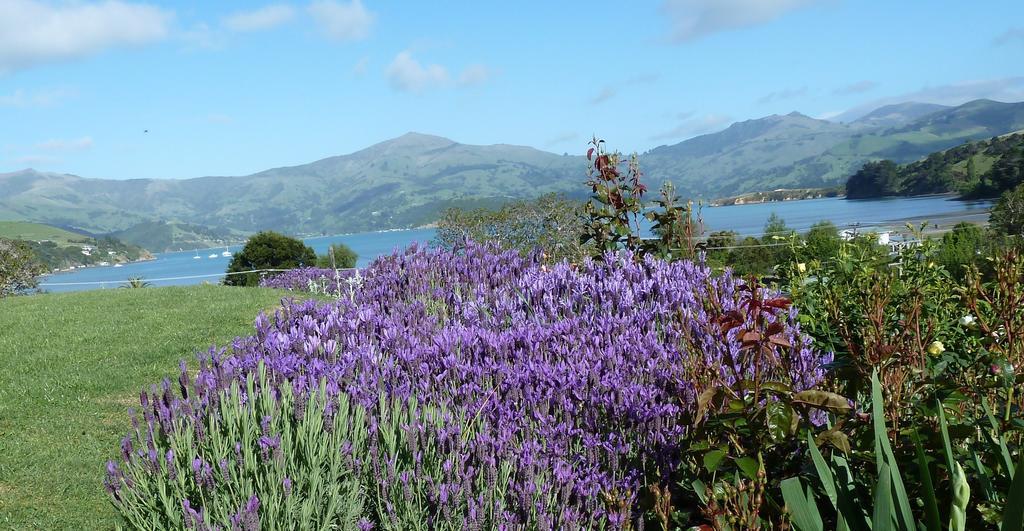 L'Abri Bed And Breakfast Akaroa Exterior foto