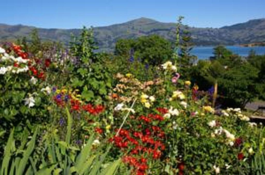 L'Abri Bed And Breakfast Akaroa Exterior foto